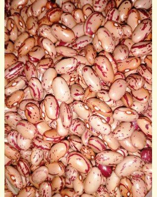 Tarkabab 500g Tarkabab 500g